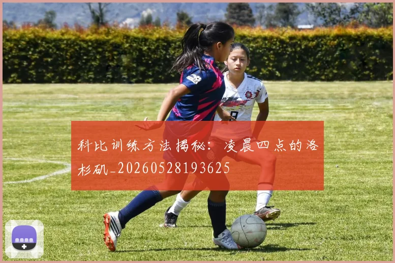 科比训练方法揭秘：凌晨四点的洛杉矶_20260528193625