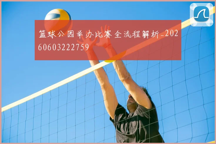 篮球公园举办比赛全流程解析_20260603222759